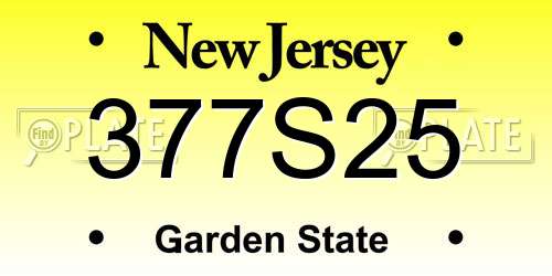 377S25 New Jersey License Plate