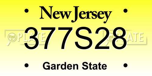 377S28 New Jersey License Plate
