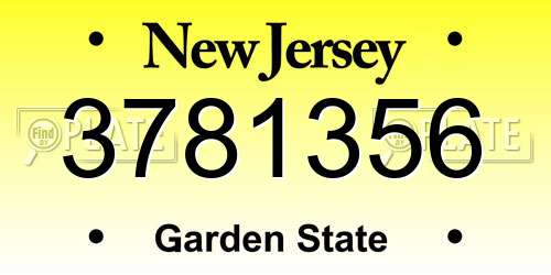 3781356 New Jersey License Plate