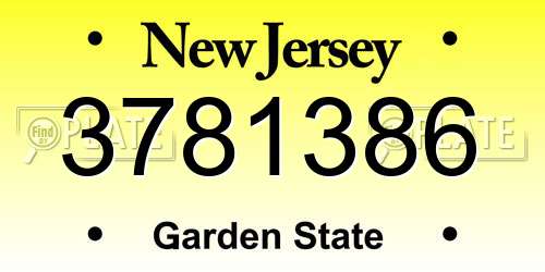 3781386 New Jersey License Plate
