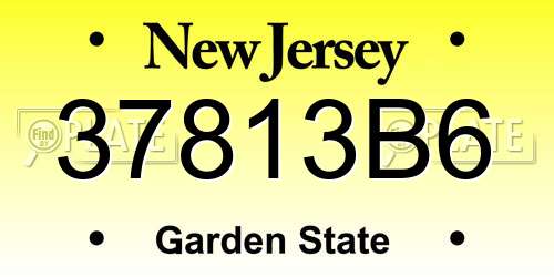 37813B6 New Jersey License Plate