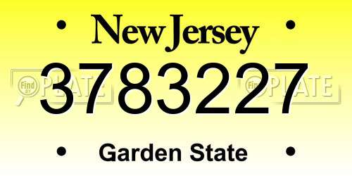 3783227 New Jersey License Plate