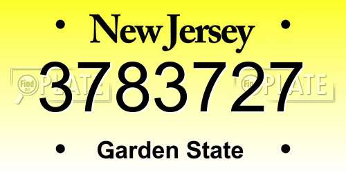 3783727 New Jersey License Plate
