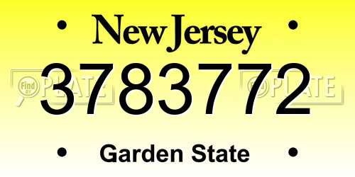 3783772 New Jersey License Plate