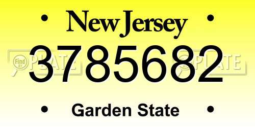 3785682 New Jersey License Plate