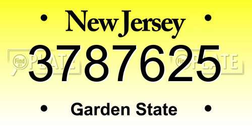 3787625 New Jersey License Plate