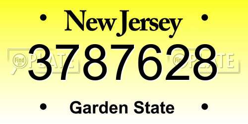 3787628 New Jersey License Plate