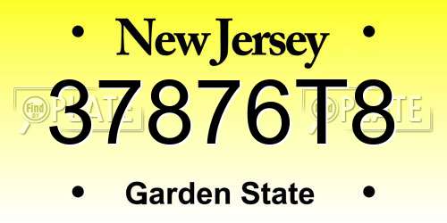 37876T8 New Jersey License Plate