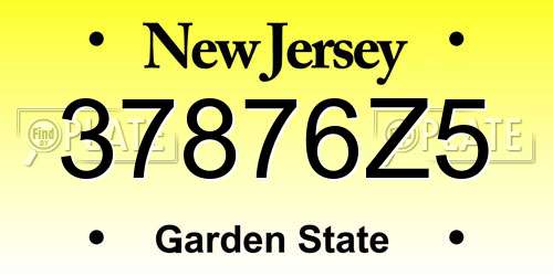 37876Z5 New Jersey License Plate