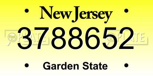3788652 New Jersey License Plate