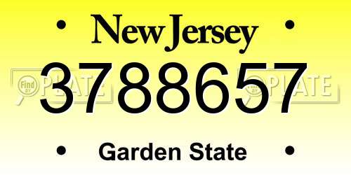 3788657 New Jersey License Plate