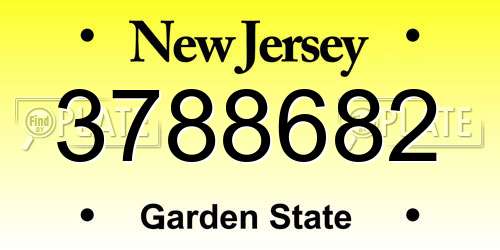 3788682 New Jersey License Plate