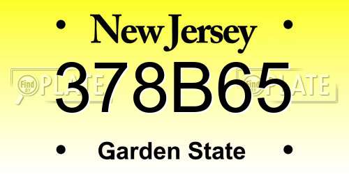 378B65 New Jersey License Plate