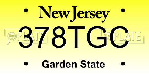 378TGC New Jersey License Plate