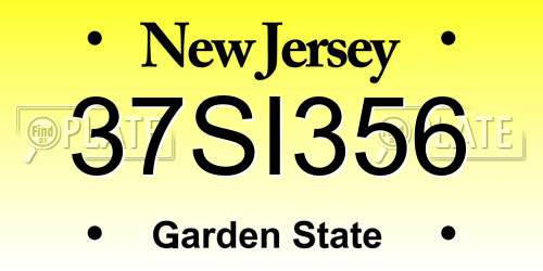 37SI356 New Jersey License Plate