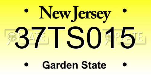 37TS015 New Jersey License Plate