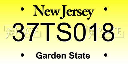 37TS018 New Jersey License Plate