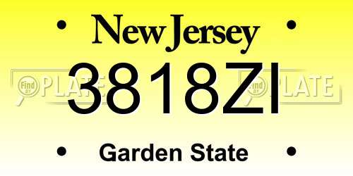3818ZI New Jersey License Plate