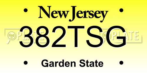 382TSG New Jersey License Plate