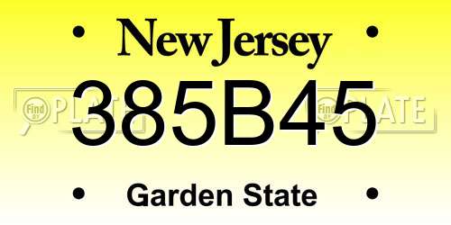 385B45 New Jersey License Plate