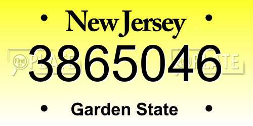 3865046 New Jersey License Plate
