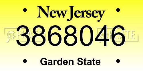 3868046 New Jersey License Plate