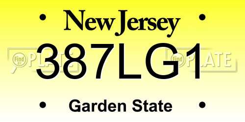 387LG1 New Jersey License Plate