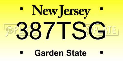 387TSG New Jersey License Plate