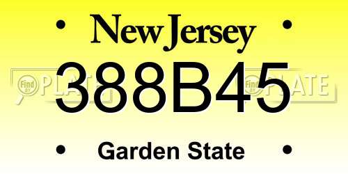 388B45 New Jersey License Plate
