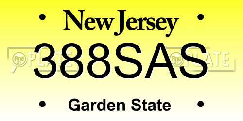 388SAS New Jersey License Plate
