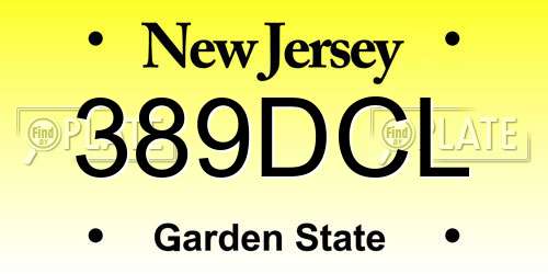389DCL New Jersey License Plate
