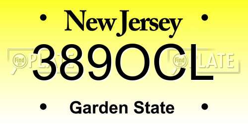 389OCL New Jersey License Plate