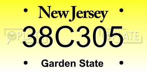 38C305 New Jersey License Plate