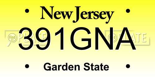 391GNA New Jersey License Plate