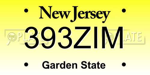 393ZIM New Jersey License Plate