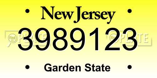 3989123 New Jersey License Plate