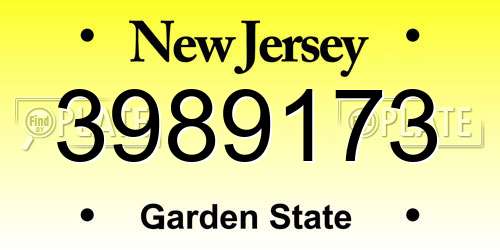 3989173 New Jersey License Plate
