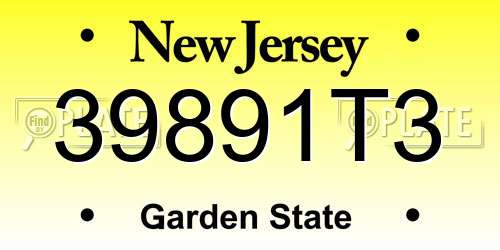 39891T3 New Jersey License Plate