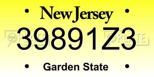 39891Z3 New Jersey License Plate