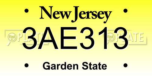 3AE313 New Jersey License Plate