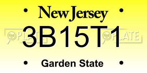 3B15T1 New Jersey License Plate
