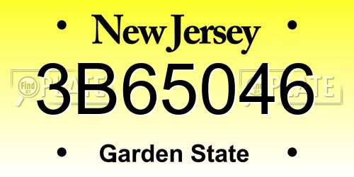 3B65046 New Jersey License Plate