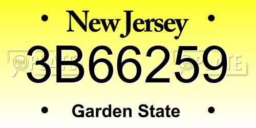 3B66259 New Jersey License Plate