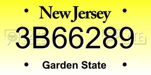 3B66289 New Jersey License Plate