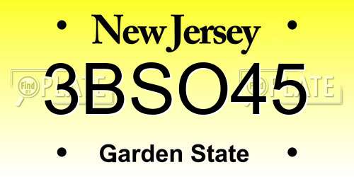 3BSO45 New Jersey License Plate