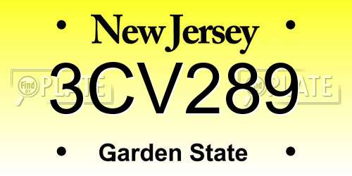 3CV289 New Jersey License Plate