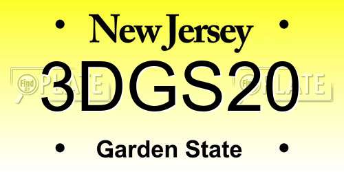 3DGS20 New Jersey License Plate