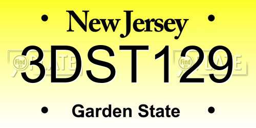 3DST129 New Jersey License Plate
