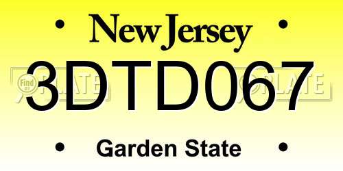3DTD067 New Jersey License Plate