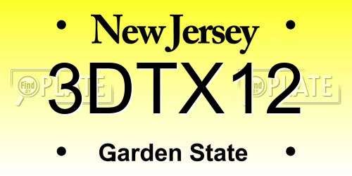 3DTX12 New Jersey License Plate